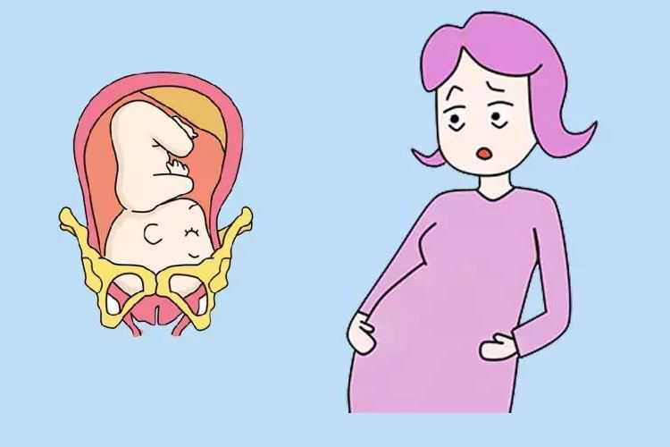 52岁供卵怀孕孩子会正常吗_美国FSAC试管婴儿男人取精冷冻注意事项